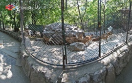 The Belgrade Zoo