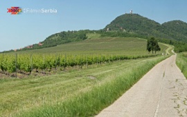 Vršac Vineyards