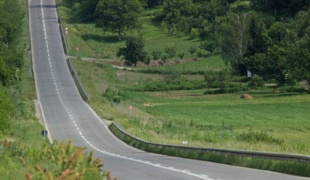 Roads near Sremski Karlovci