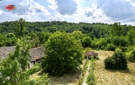 Estate in Jelašnica