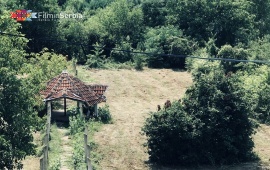 Estate in Jelašnica